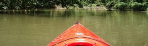 Wetland Canoe Trails